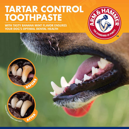 Tartar Control Dog Dental Care Kit - Banana Mint Toothpaste with Baking Soda, Double-Sided Toothbrush & Finger Brush - 3-Piece Set, 2.5 Oz