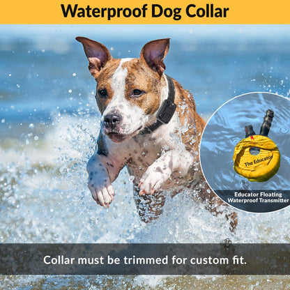 Humane E-Collar ET-402 Dog Training Collar for 2 Dogs - Yellow, Remote Controlled, 100 Safe Stimulation Levels, Waterproof & Rechargeable, 3/4 Mile Range