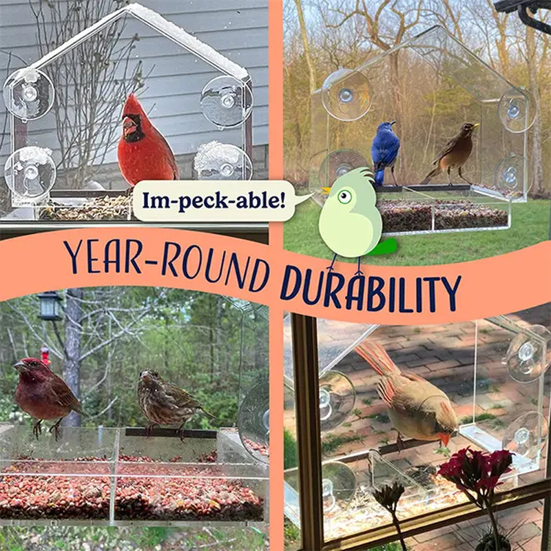 Nature's Hangout Acrylic Window Bird Feeder - Ultimate Bird Watching Experience with Suction Cups & Removable Tray