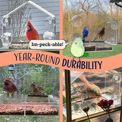Nature's Hangout Acrylic Window Bird Feeder - Ultimate Bird Watching Experience with Suction Cups & Removable Tray