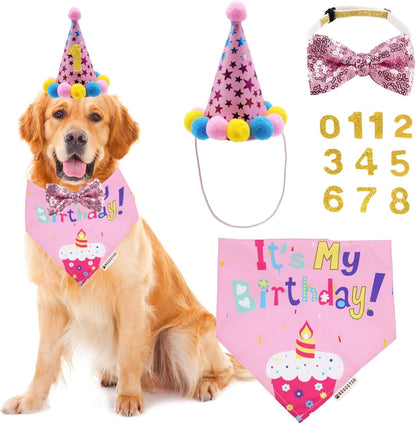 Blue Dog Birthday Bandana, Party Hat & Bow Tie Set for Medium/Large Pups 🎂🐾