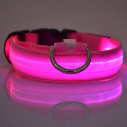 Illuminate Your Dog's Walks: Glow in the Dark Nylon LED Leash & Collar for Ultimate Night Safety