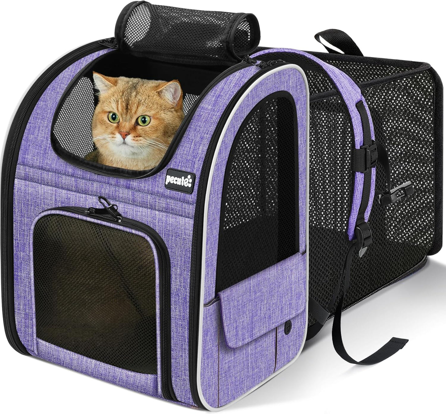 Expandable Pet Carrier Backpack 🐾✨ Ventilated, Comfy, Airline‑Friendly Travel Pack