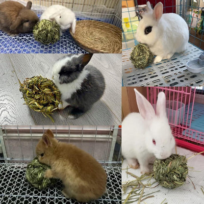Natural Timothy Grass Balls 🌾🐹 3‑Pack Chew Toys for Rabbits, Guinea Pigs & Hamsters