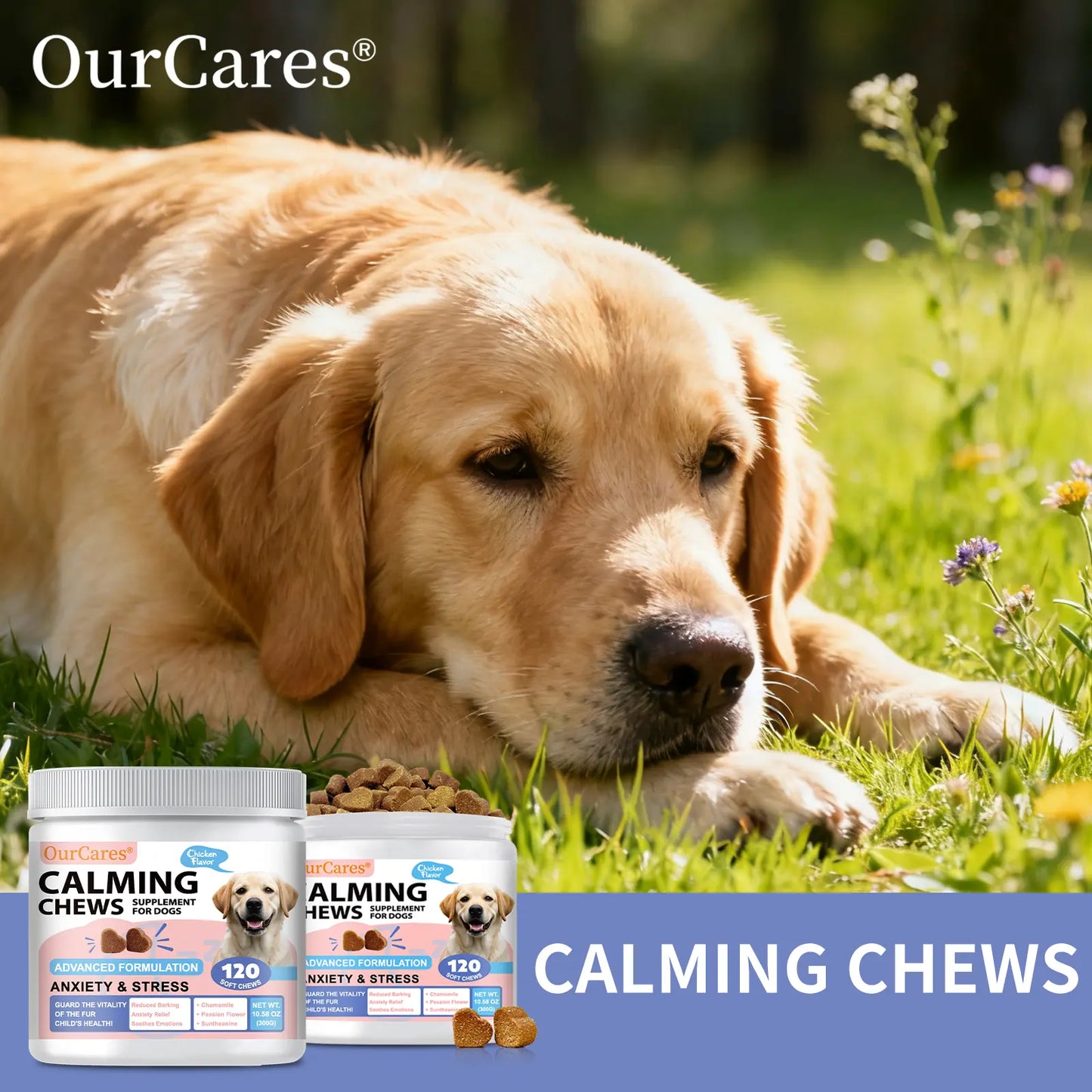 Calm Your Dog Naturally with OURCARES Calming Bites – Soft Chews for Stress Relief and Composure Support