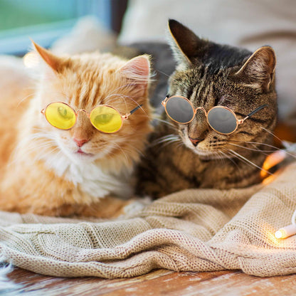 10 Pieces Cute Retro Round Sunglasses for Cats and Dogs – Fun Pet Glasses for Cosplay, Parties, and Photos (Mixed Colors)