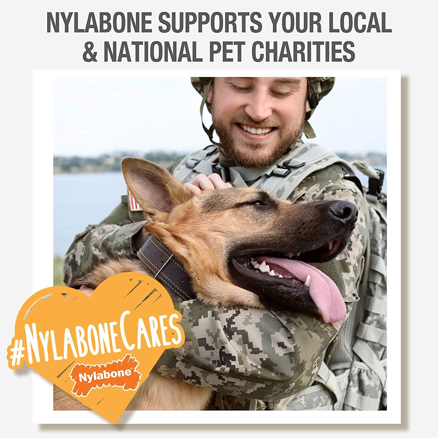 Nylabone Power Chew Bones 🦴🔥 Tough Nylon Twin Pack – Bacon & Chicken, Medium Dogs