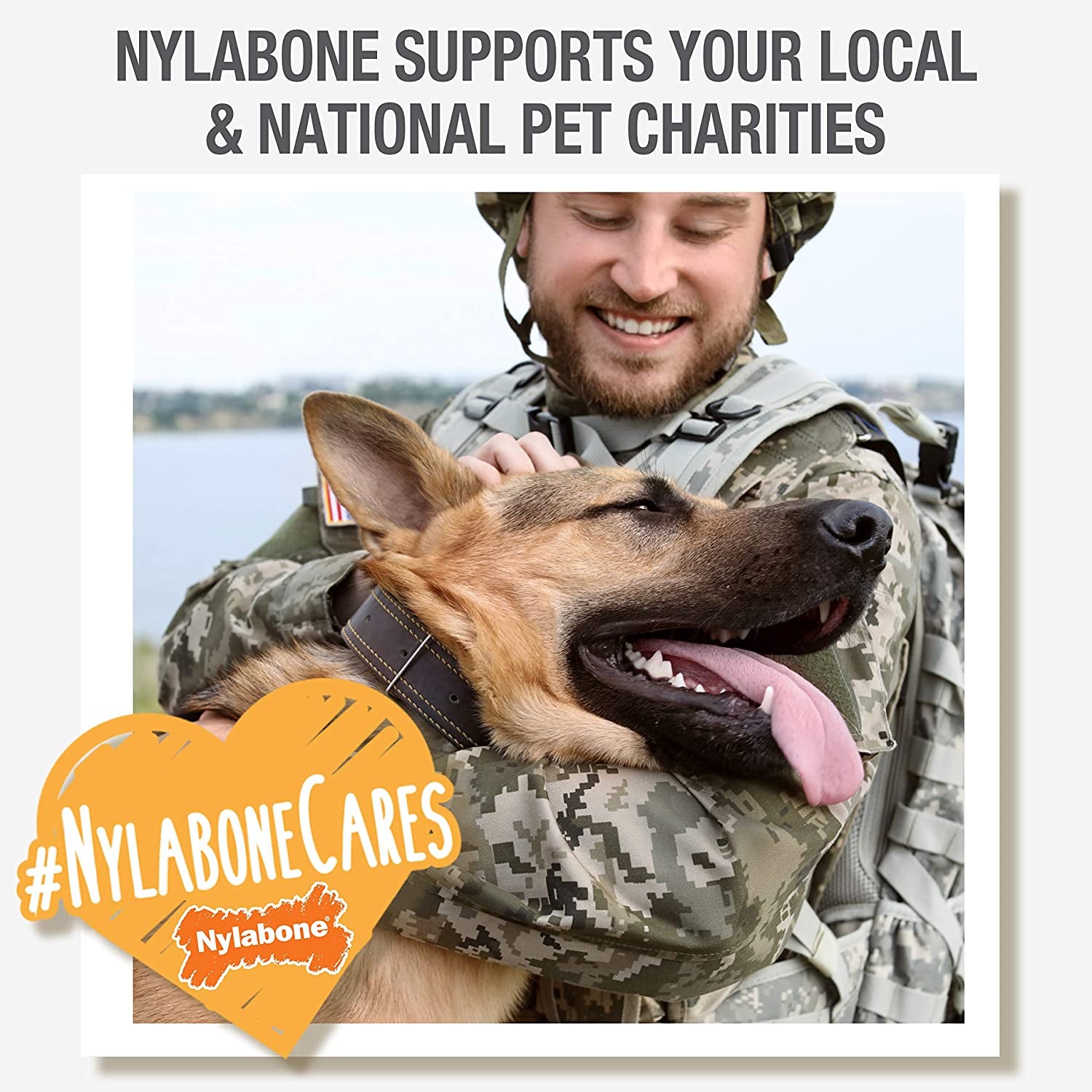 Nylabone Power Chew Bones 🦴🔥 Tough Nylon Twin Pack – Bacon & Chicken, Medium Dogs