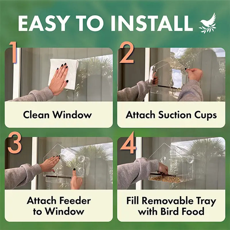 Nature's Hangout Acrylic Window Bird Feeder - Ultimate Bird Watching Experience with Suction Cups & Removable Tray