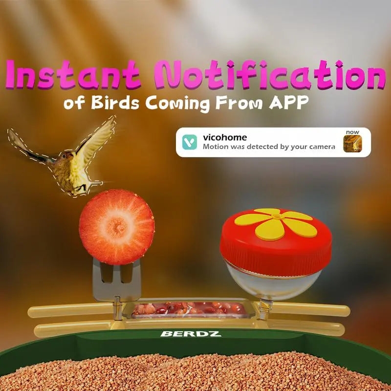 Wireless Outdoor Bird Feeder with Camera Auto Capture 1080P Real-Time Viewing AI Identify Wild Bird Motion Detection IP65 Waterproof 5000Mah Battery