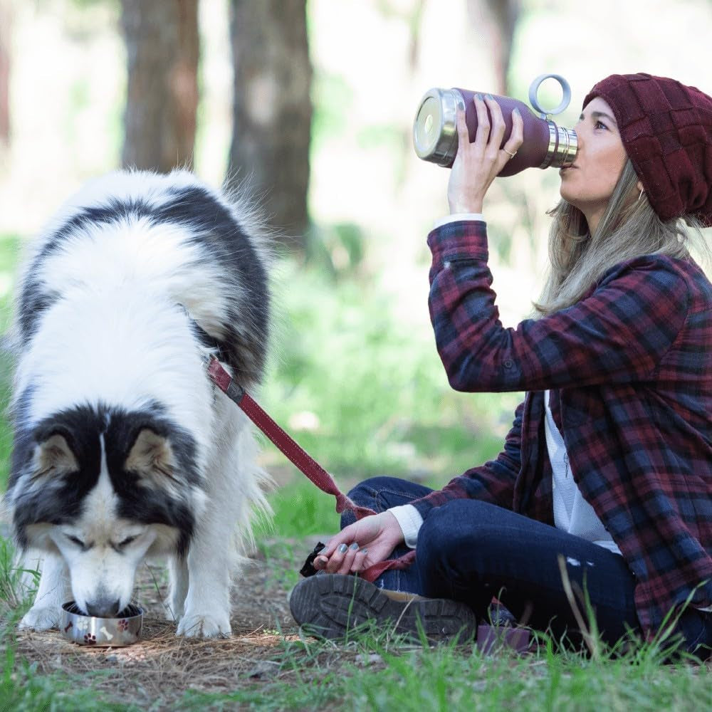 Dog Buddy Bottle 🐾✨ Stainless Steel Insulated Water Bottle with Detachable Dog Bowl & Treat Storage