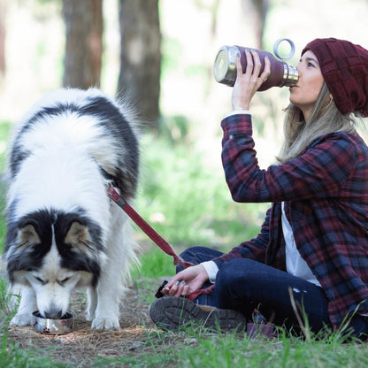 Dog Buddy Bottle 🐾✨ Stainless Steel Insulated Water Bottle with Detachable Dog Bowl & Treat Storage