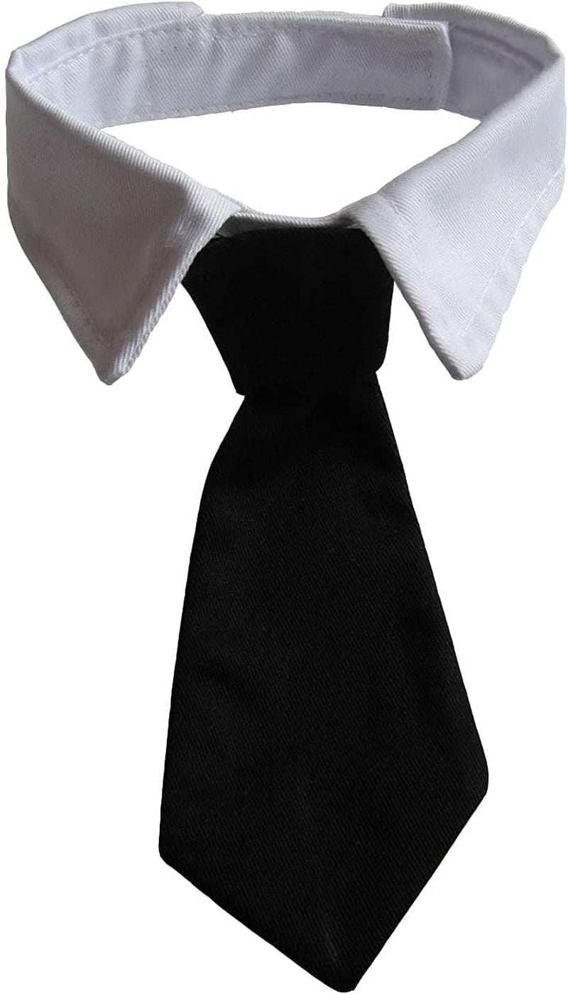 Dapper Dog Tuxedo Collar with Black Tie - Ideal for All Breeds!