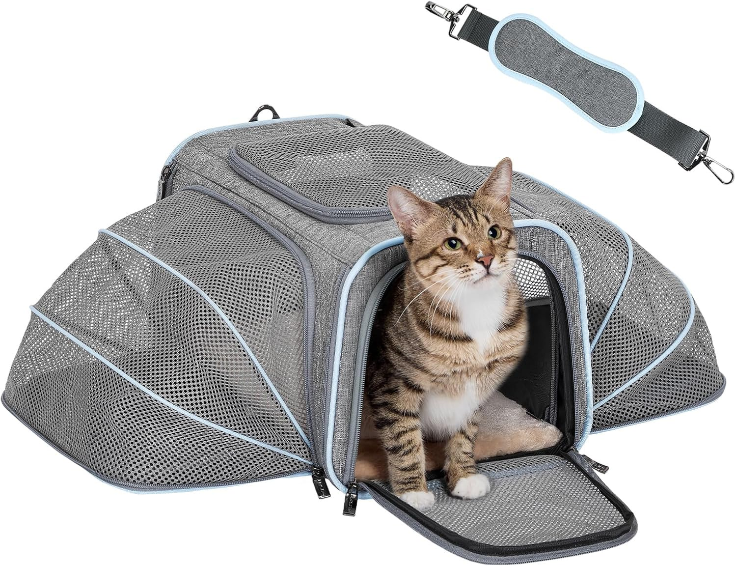 Gray mesh cat carrier with blue trim, featuring a tabby cat inside and adjustable shoulder strap for travel.