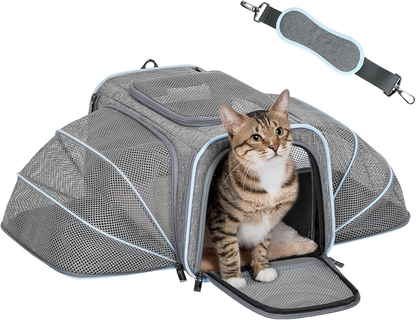 Gray mesh cat carrier with blue trim, featuring a tabby cat inside and adjustable shoulder strap for travel.