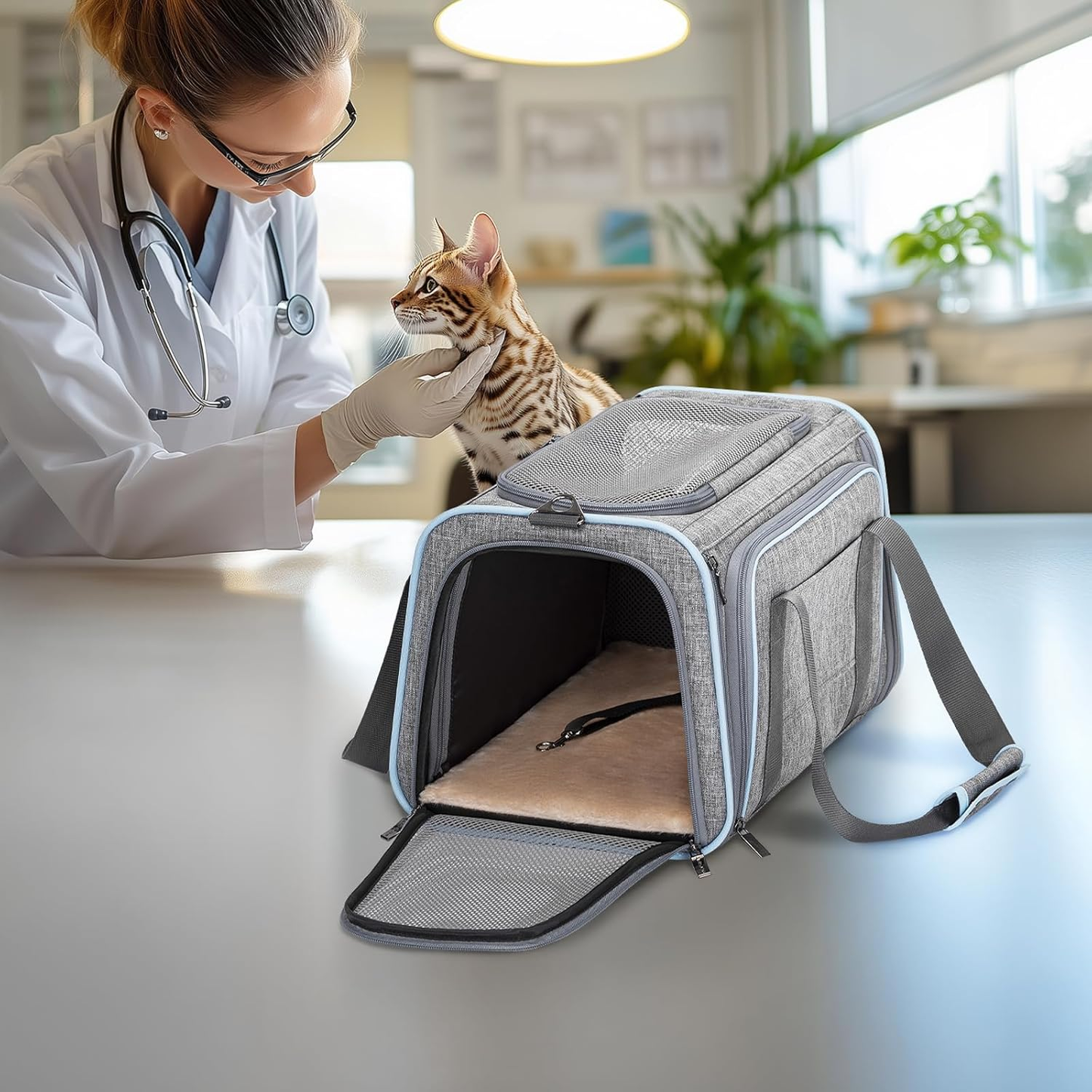 Gray pet carrier with soft lining, vet examining cat beside it in clinic