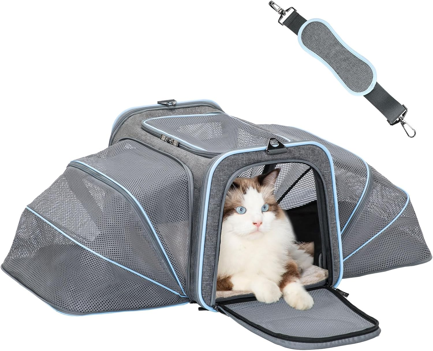 Fluffy cat in gray mesh pet carrier with blue trim, ideal for travel and comfort