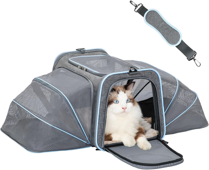 Fluffy cat in gray mesh pet carrier with blue trim, ideal for travel and comfort