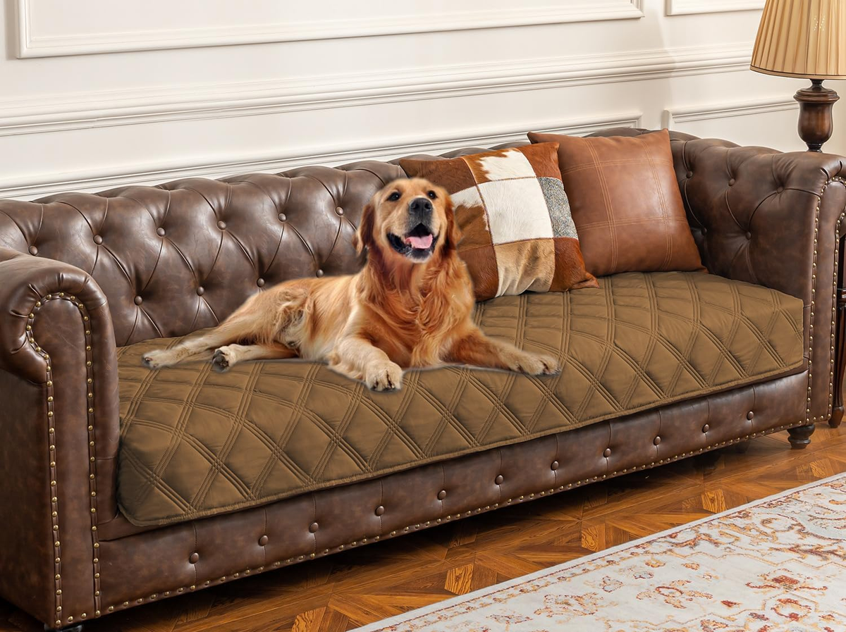 Ultimate Waterproof Dog Bed Cover & Anti-Slip Pet Blanket for Furniture Protection