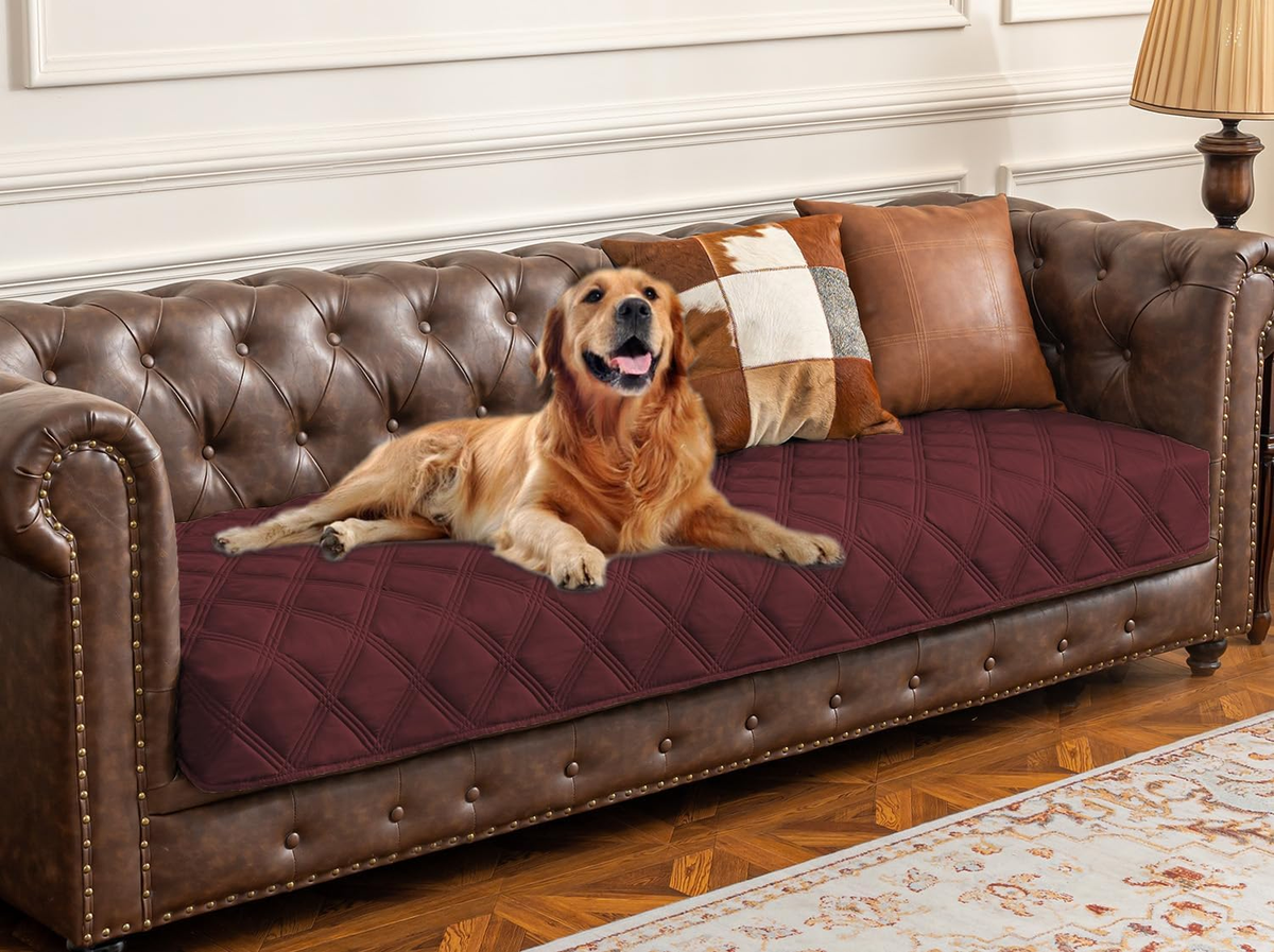 Ultimate Waterproof Dog Bed Cover & Anti-Slip Pet Blanket for Furniture Protection