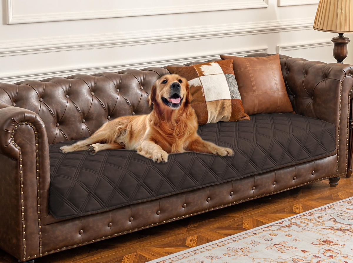 Ultimate Waterproof Dog Bed Cover & Anti-Slip Pet Blanket for Furniture Protection