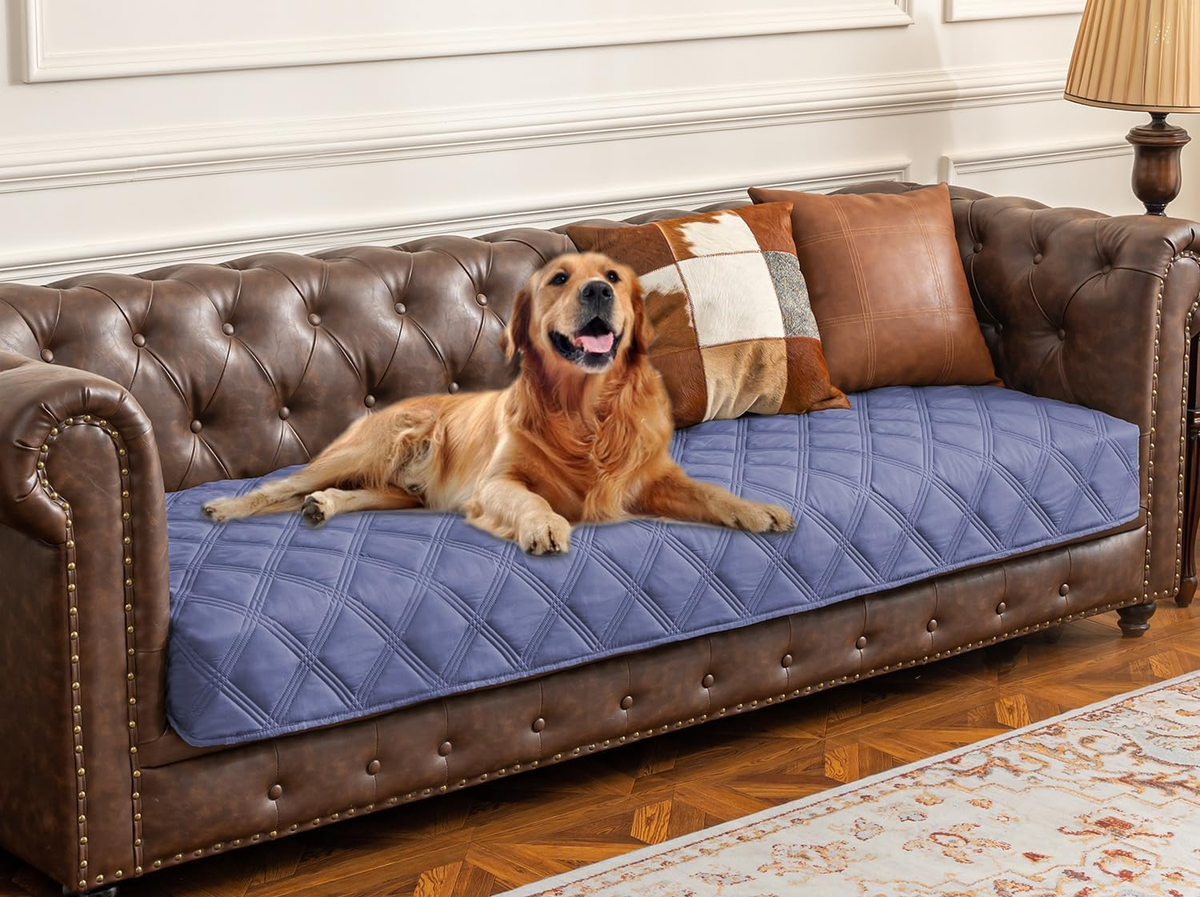 Ultimate Waterproof Dog Bed Cover & Anti-Slip Pet Blanket for Furniture Protection