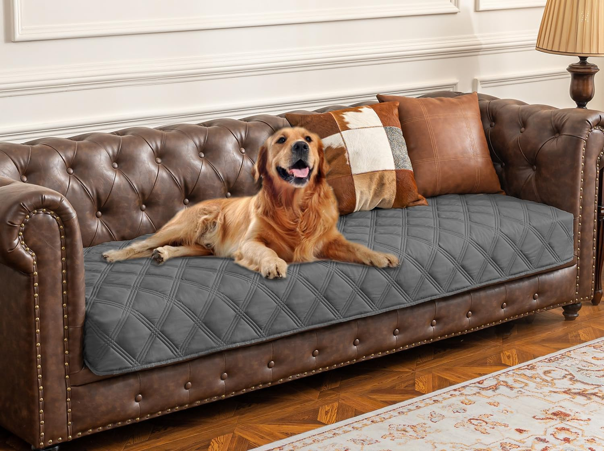 Ultimate Waterproof Dog Bed Cover & Anti-Slip Pet Blanket for Furniture Protection