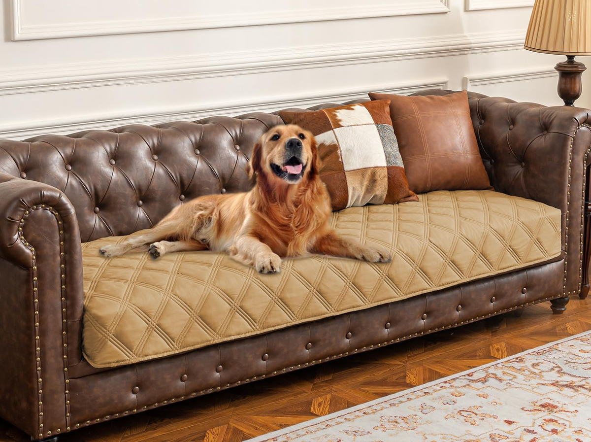 Ultimate Waterproof Dog Bed Cover & Anti-Slip Pet Blanket for Furniture Protection