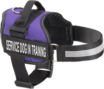 ❤️🐾 Service Dog in Training Vest Harness — Durable, Adjustable, Reflective (Small 19.5"–25")