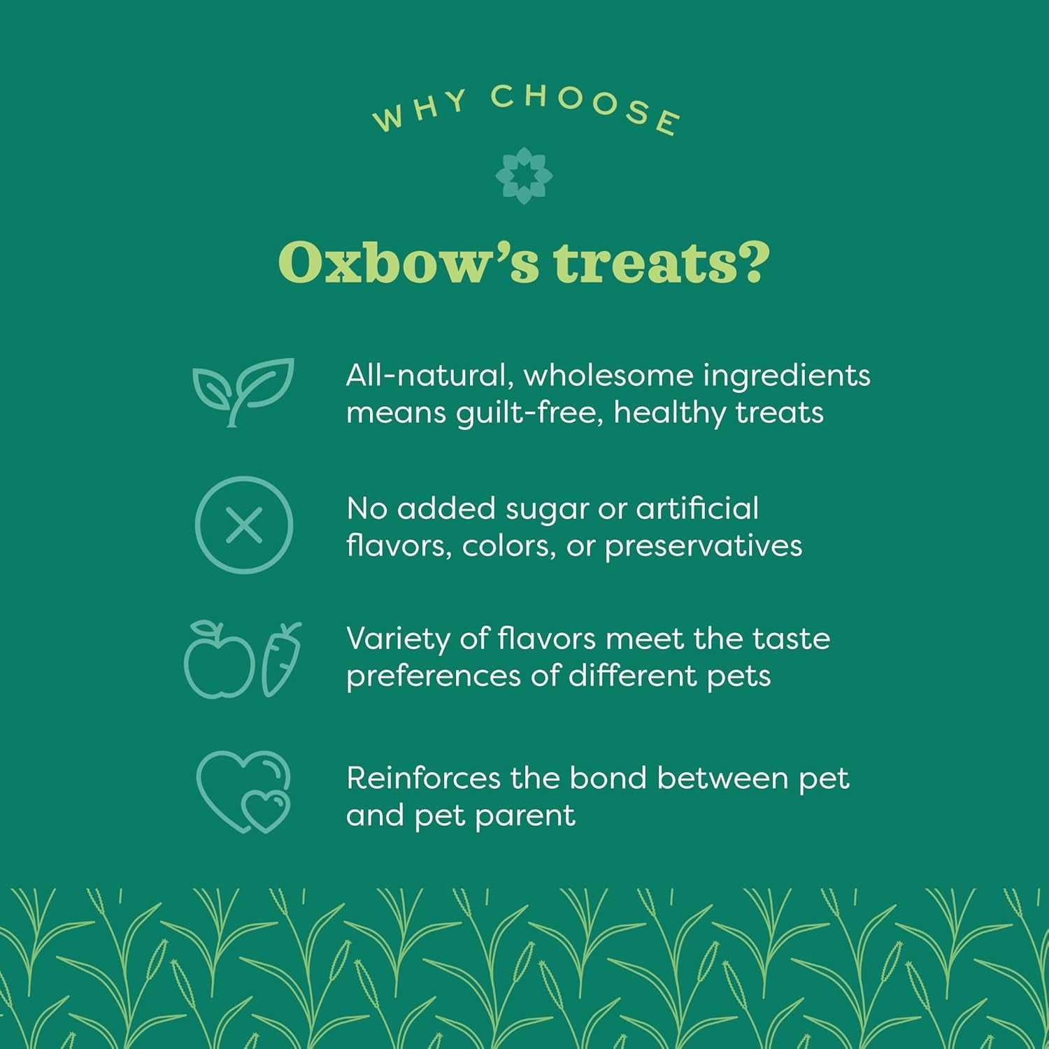 Organic Barley Biscuits 🌾🐹 Apple & Carrot Treats for Rabbits, Guinea Pigs & Hamsters
