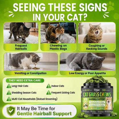 Dolean Cat Grass Chews - Crunchy Chicken Flavor Snack for Hairball Control & Digestive Health, 500 Grain-Free Treats with Essential Vitamins, Fish Oil & Taurine for Healthy Skin, Coat & Teeth