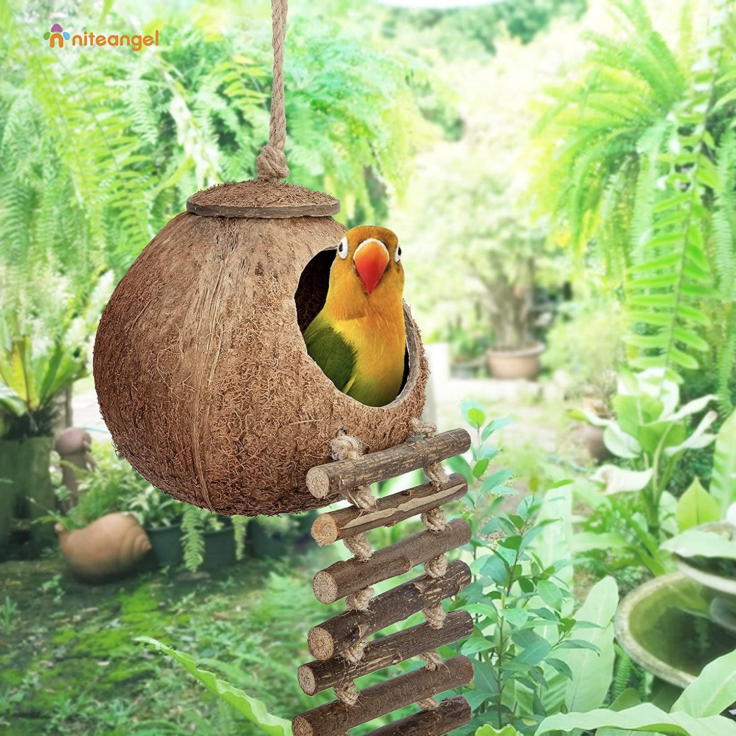 Natural Coconut Hideaway with Ladder - Perfect Toy for Birds and Small Animals!