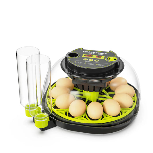 Automatic Egg Incubator with Humidity Display, Built-In Egg Candler, and 360° Transparent View for Home Chicken Hatching and Poultry Farming