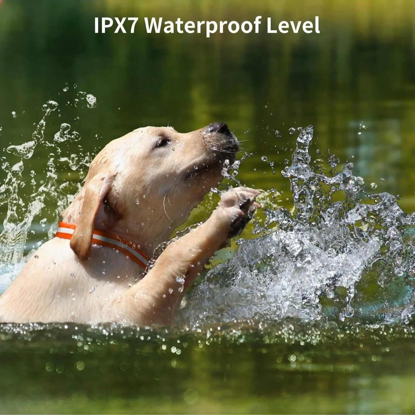 Ultimate 3-Dog Training Collars with Remote - 3300ft Range, Beep/Shock/Vibration Modes, Waterproof & Adjustable for 5-120lbs Dogs!