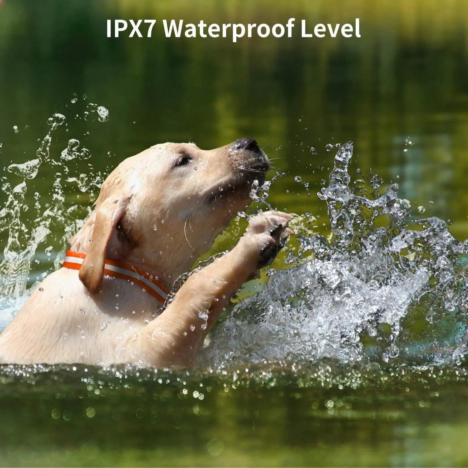 Ultimate 3-Dog Training Collars with Remote - 3300ft Range, Beep/Shock/Vibration Modes, Waterproof & Adjustable for 5-120lbs Dogs!
