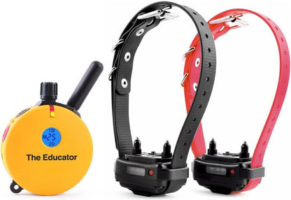 Humane E-Collar ET-402 Dog Training Collar for 2 Dogs - Yellow, Remote Controlled, 100 Safe Stimulation Levels, Waterproof & Rechargeable, 3/4 Mile Range