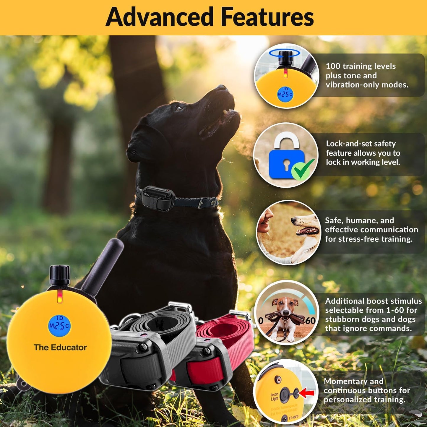 Humane E-Collar ET-402 Dog Training Collar for 2 Dogs - Yellow, Remote Controlled, 100 Safe Stimulation Levels, Waterproof & Rechargeable, 3/4 Mile Range