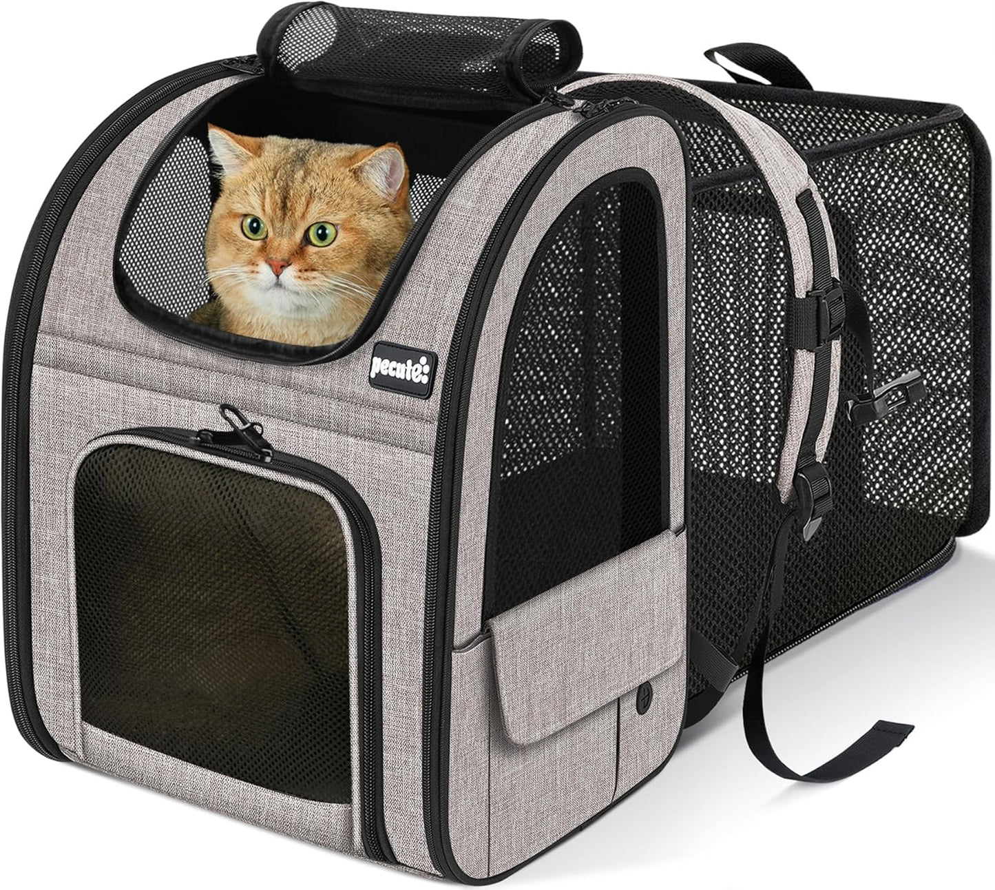 Expandable Pet Carrier Backpack 🐾✨ Ventilated, Comfy, Airline‑Friendly Travel Pack