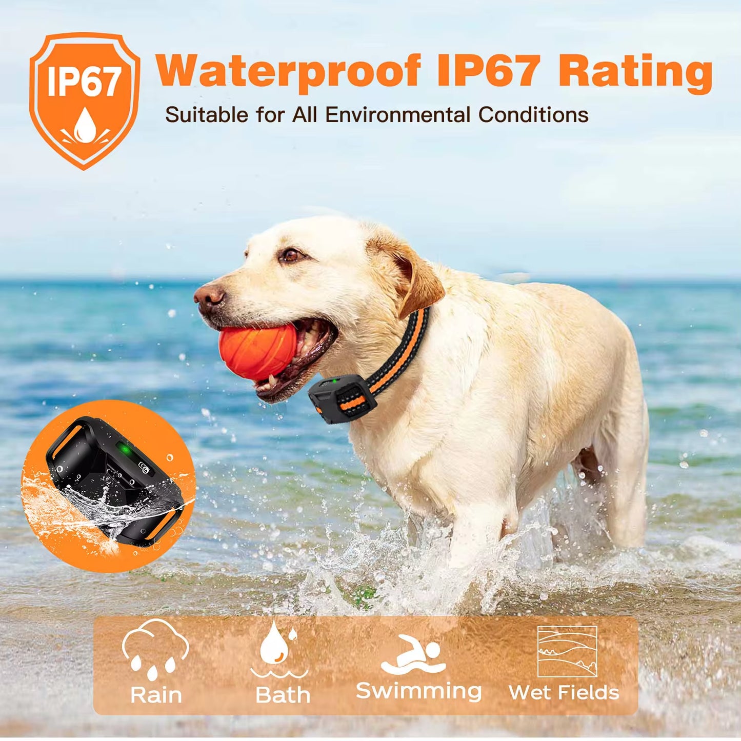 Long‑Range 3300Ft Dog Training Collar – Waterproof Remote, Shock & Vibration  