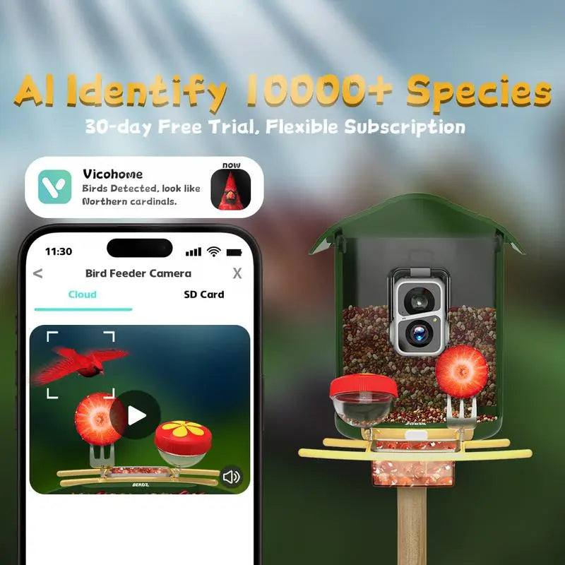 Wireless Outdoor Bird Feeder with Camera Auto Capture 1080P Real-Time Viewing AI Identify Wild Bird Motion Detection IP65 Waterproof 5000Mah Battery