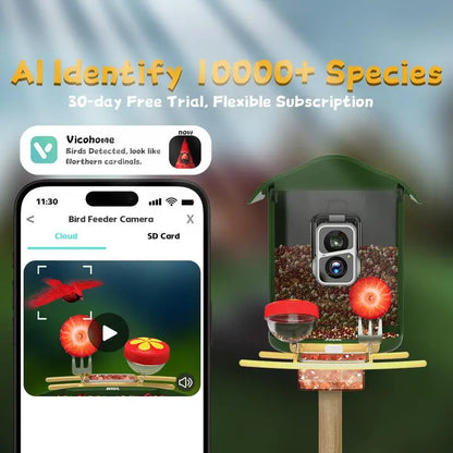 Wireless Outdoor Bird Feeder with Camera Auto Capture 1080P Real-Time Viewing AI Identify Wild Bird Motion Detection IP65 Waterproof 5000Mah Battery