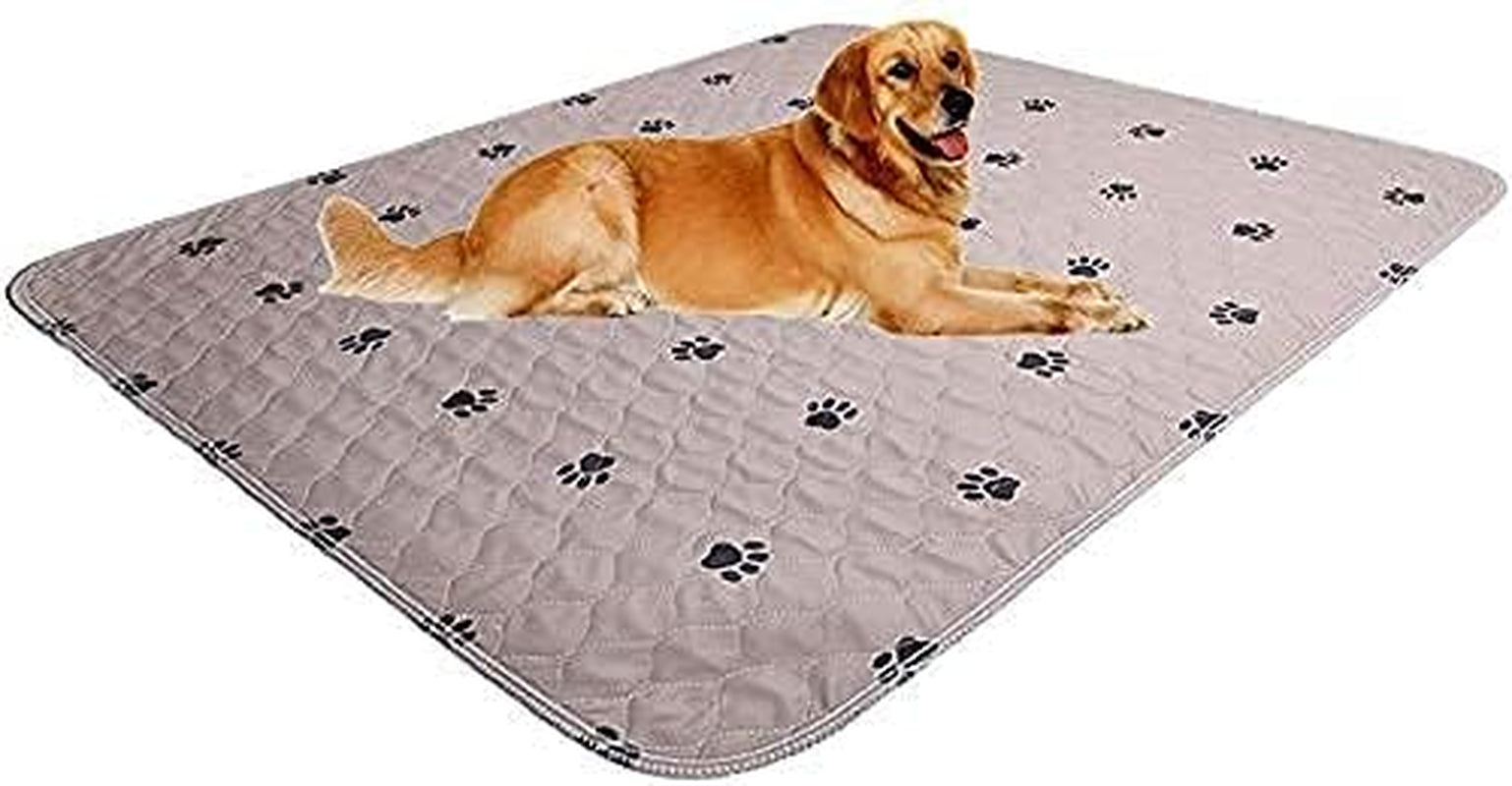 Washable Dog Pee Pads 🐾💧 Waterproof, Non‑Slip, Reusable 4‑Layer Mat (2‑Pack)
