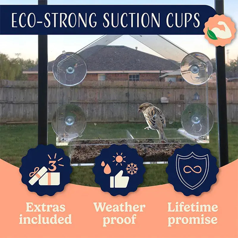 Nature's Hangout Acrylic Window Bird Feeder - Ultimate Bird Watching Experience with Suction Cups & Removable Tray