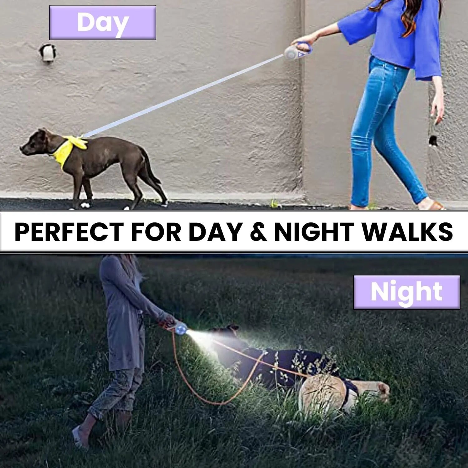 Illuminate Your Night Walks with the Pawzseek LED Retractable Dog Leash – A Game Changer for Safety and Style!