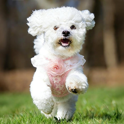 Chic Pink Lace Harness & Leash Set for Small Pets - Floral Vest-Style Design, Ideal for Dogs & Cats, Perfect for Stylish Walks!