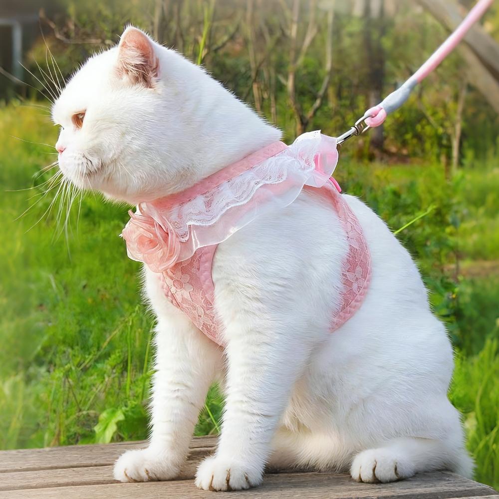 Chic Pink Lace Harness & Leash Set for Small Pets - Floral Vest-Style Design, Ideal for Dogs & Cats, Perfect for Stylish Walks!