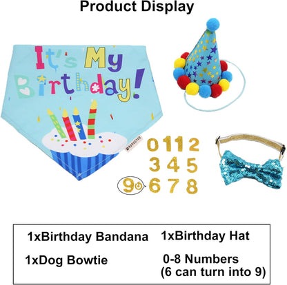 Blue Dog Birthday Bandana, Party Hat & Bow Tie Set for Medium/Large Pups 🎂🐾