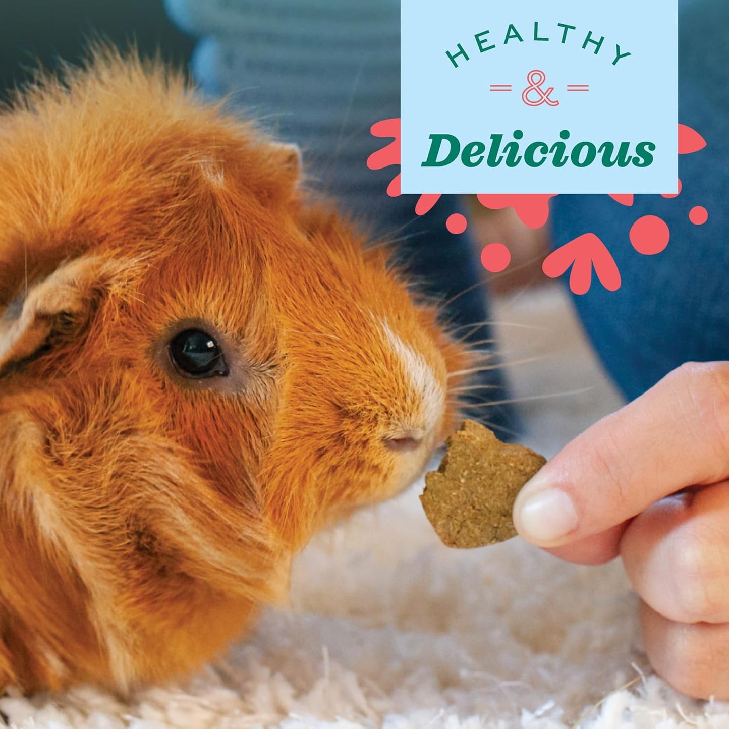 Organic Barley Biscuits 🌾🐹 Apple & Carrot Treats for Rabbits, Guinea Pigs & Hamsters