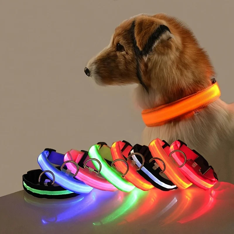 Illuminate Your Dog's Walks: Glow in the Dark Nylon LED Leash & Collar for Ultimate Night Safety