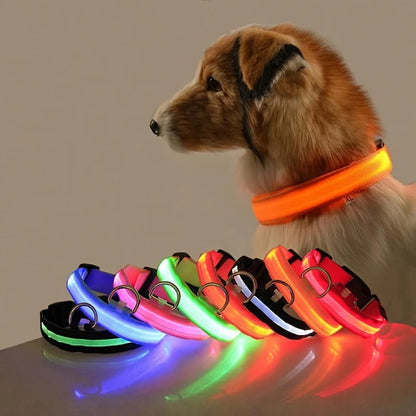 Illuminate Your Dog's Walks: Glow in the Dark Nylon LED Leash & Collar for Ultimate Night Safety